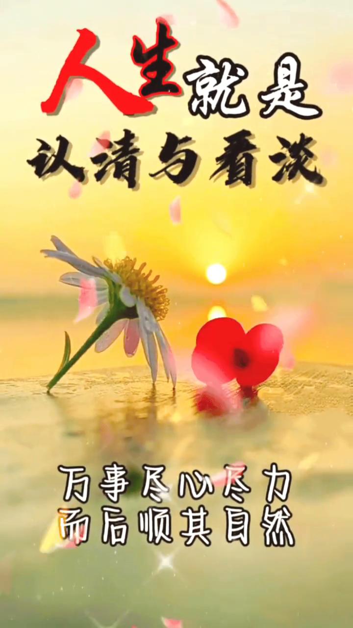 认清与看淡，万事尽心尽力。人生就是：而后顺其目然，而后顺其心然。