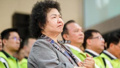 绿营“大姐大”落幕！
台媒报道，75岁的台湾“监察院长”陈菊，在2024年因病请