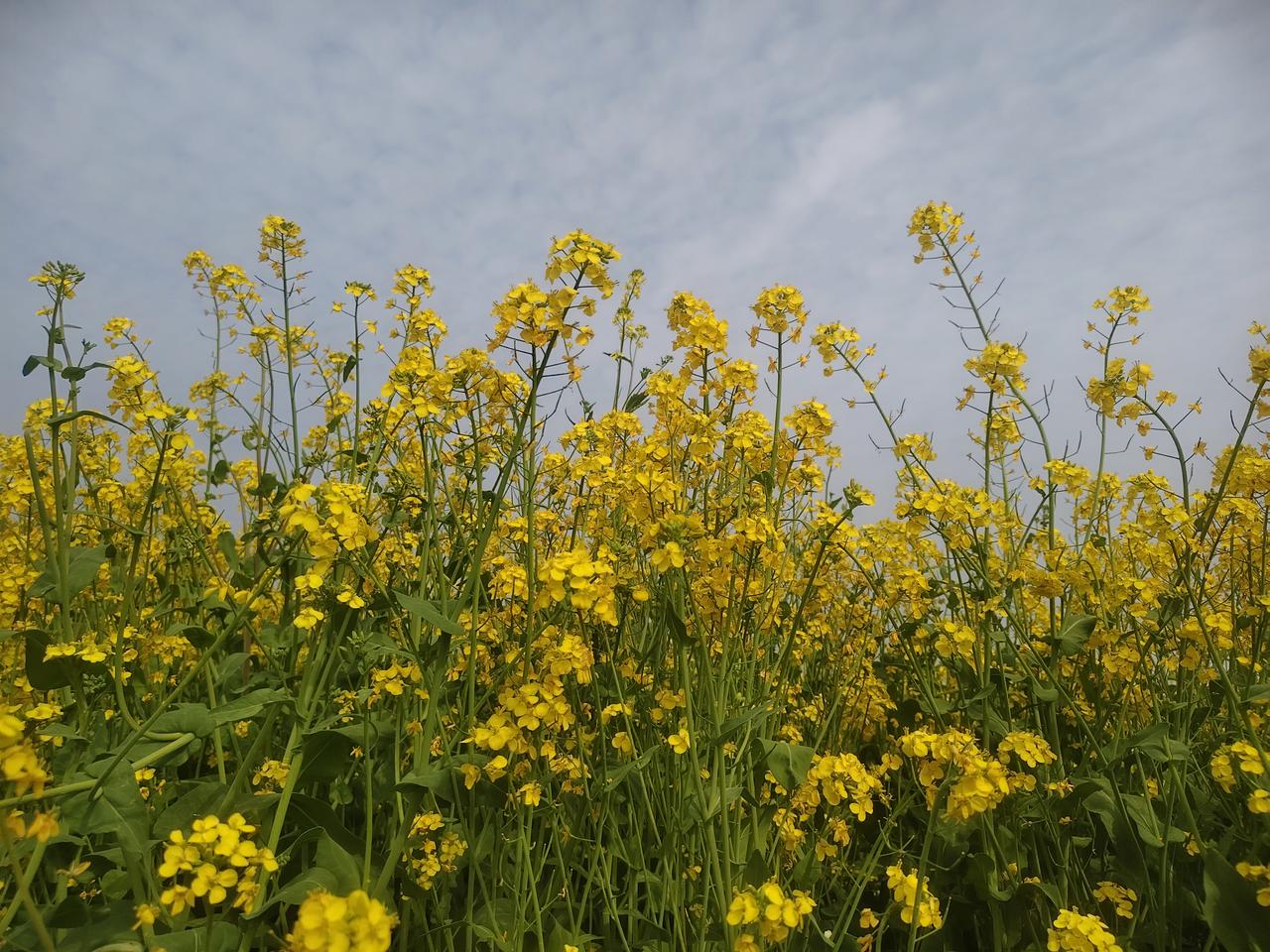 对我来说，属于我的幸福很简单。幸福是在忙碌一天后，能回到温馨的小窝，窝在柔软的沙