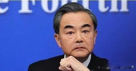 台湾不愿意"一国两制"，王毅外长曾对此回应，那就满足你们，从此以后台湾就只有一个