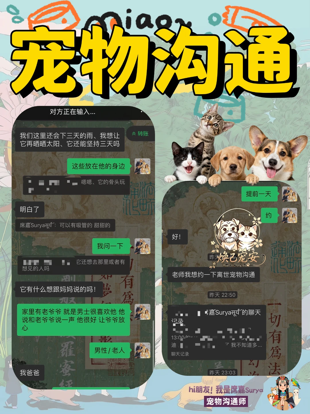 宠物沟通｜毛孩子会用什么方式和你告别