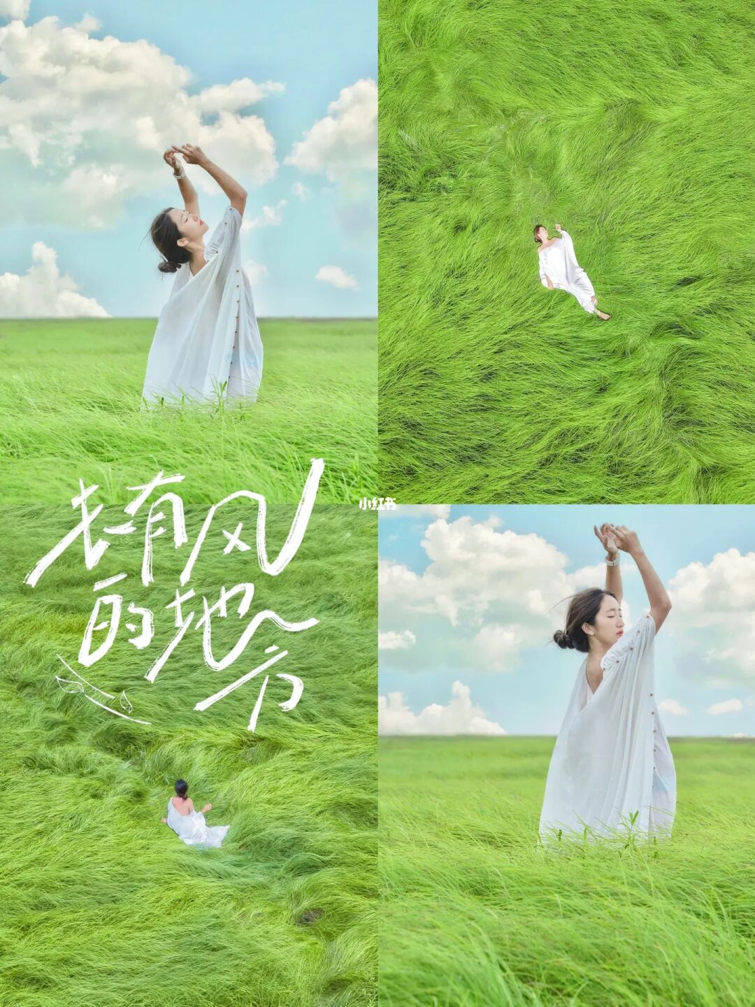 0元看草海🍃躺进抹茶蛋糕里，看见风的形状