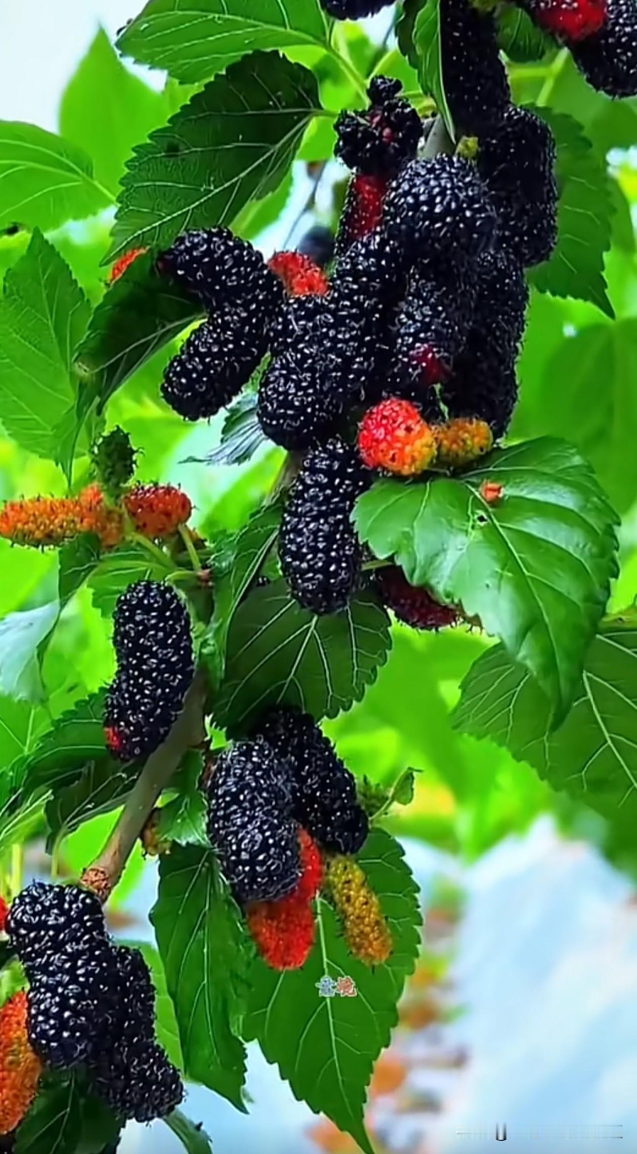 相处方式，
我认为是要用心，
不要刻意的那种去掩饰用心，
而是要随其自然的，
越