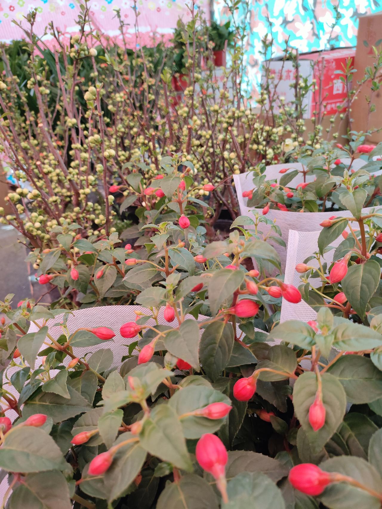 人到中年，最好的状态：平静活，开心笑，适度忙
 
人到中年，好像突然就活明白了。