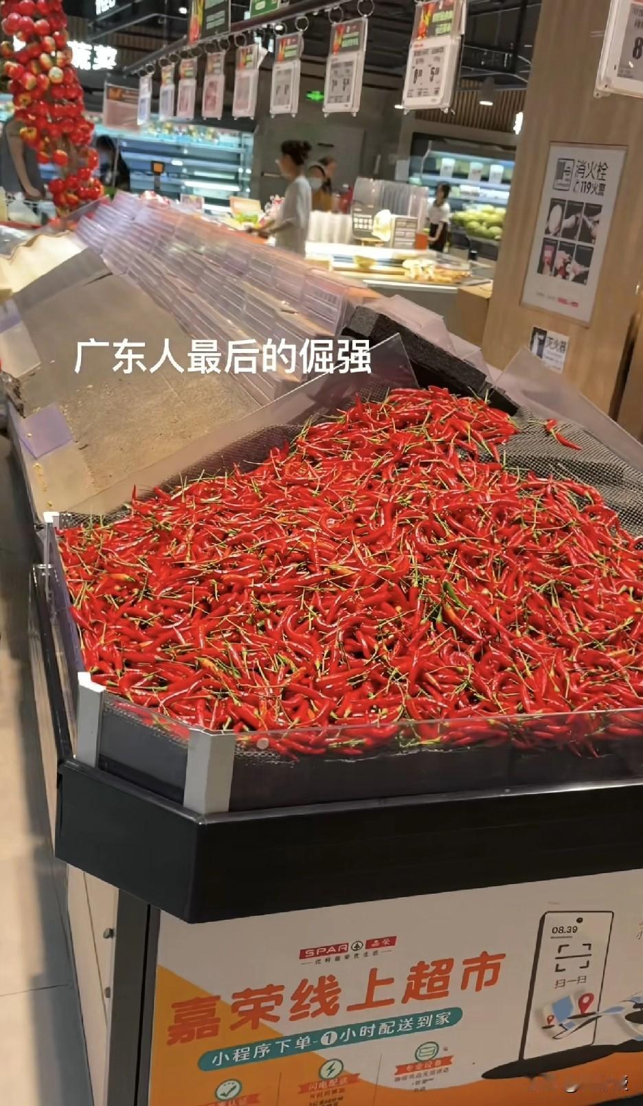 台风天🌀
广东人的倔强