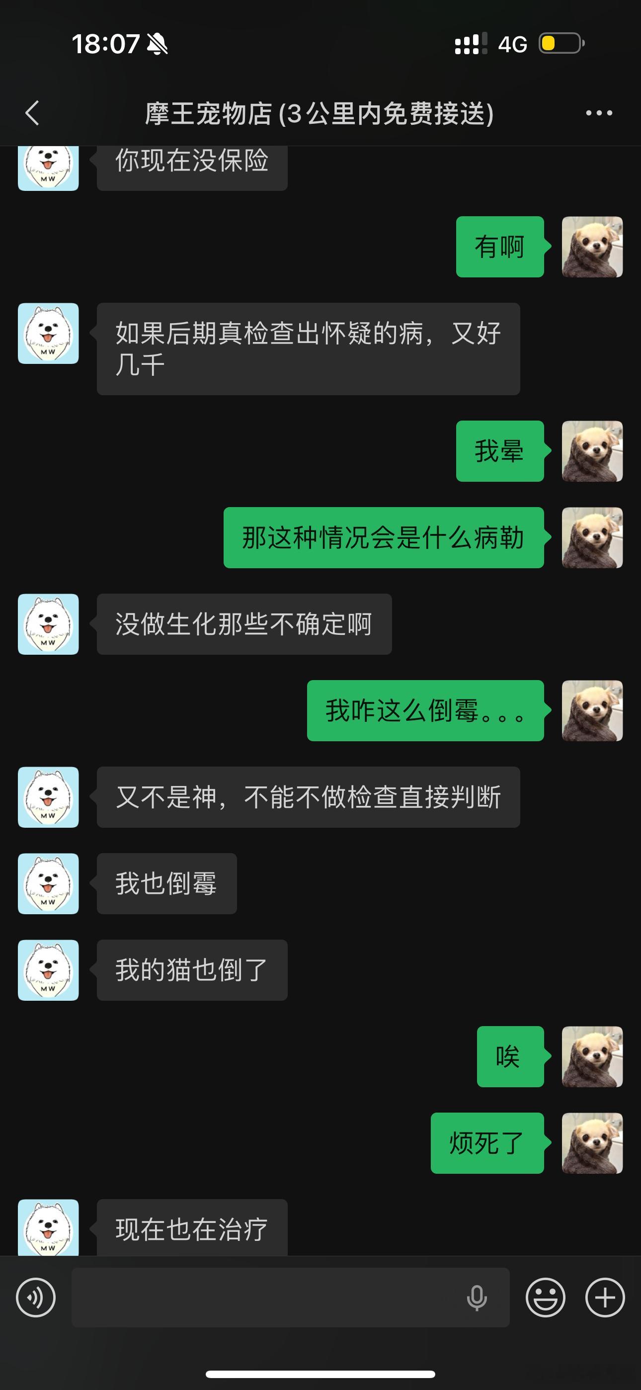 全世界的小动物能不能都别生病… 