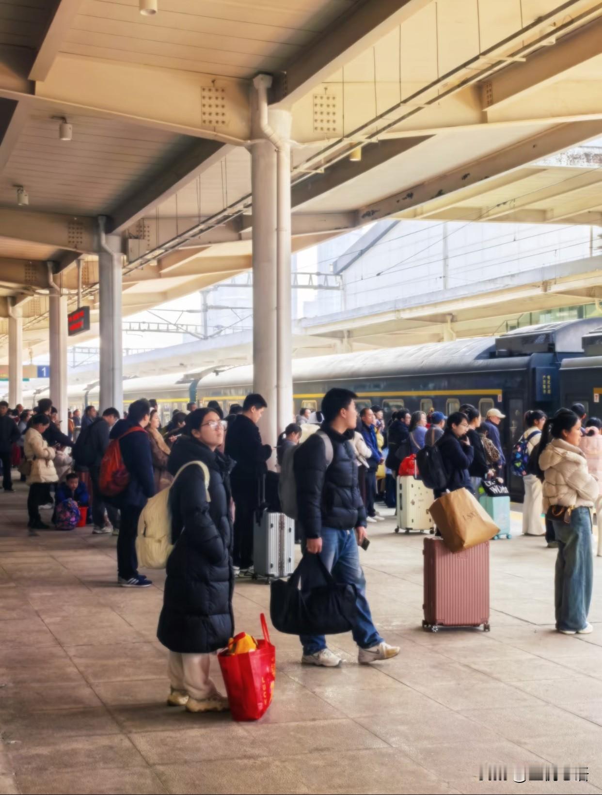 过完年返程
后备箱又被爸妈塞得满满当当

不是什么稀罕物件
全是家里的土鸡蛋
自
