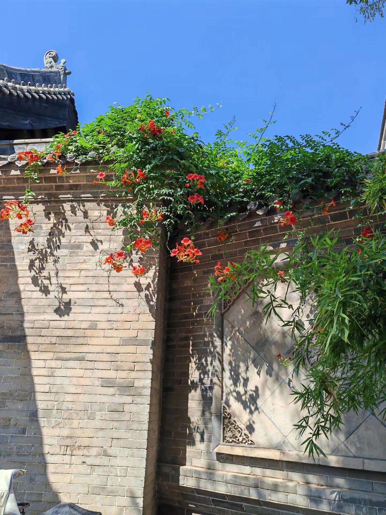 图文热点来了 我的随手拍 治愈系风景 最美的风景在路上 随手拍