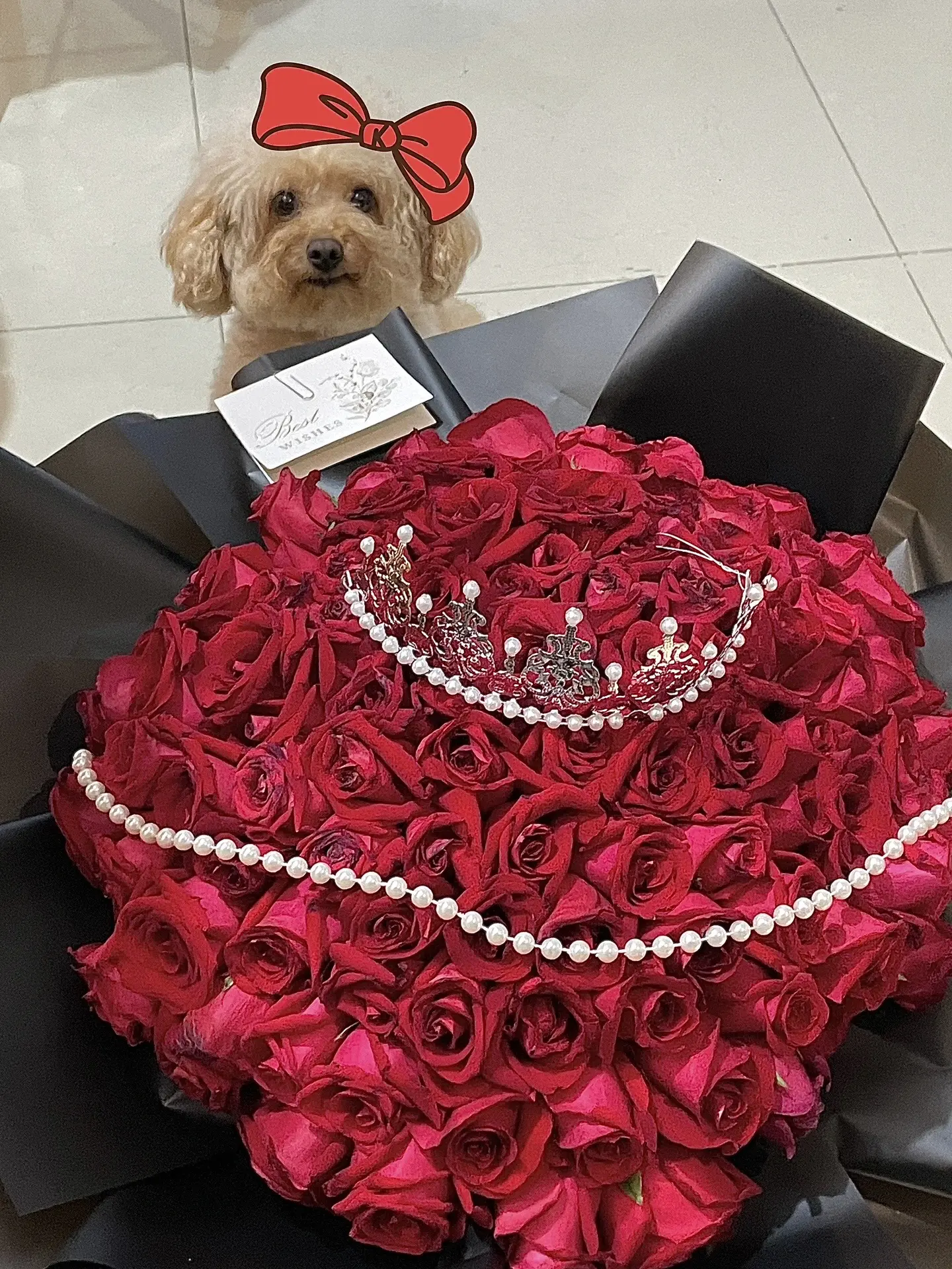 谁是幸福宝宝❤️