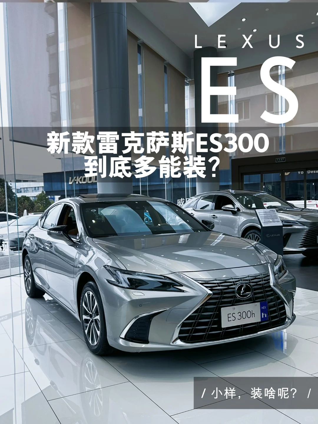 新ES300h，到底多能装？