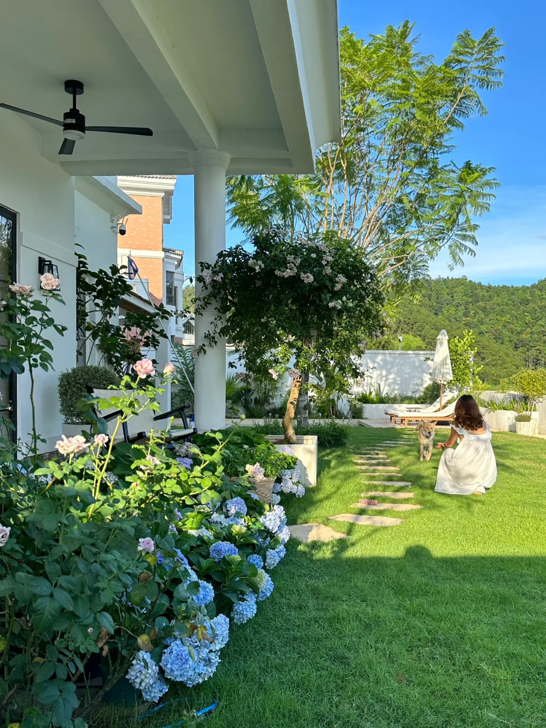 老妈说：这就是你小时候梦想的生活啊🏡