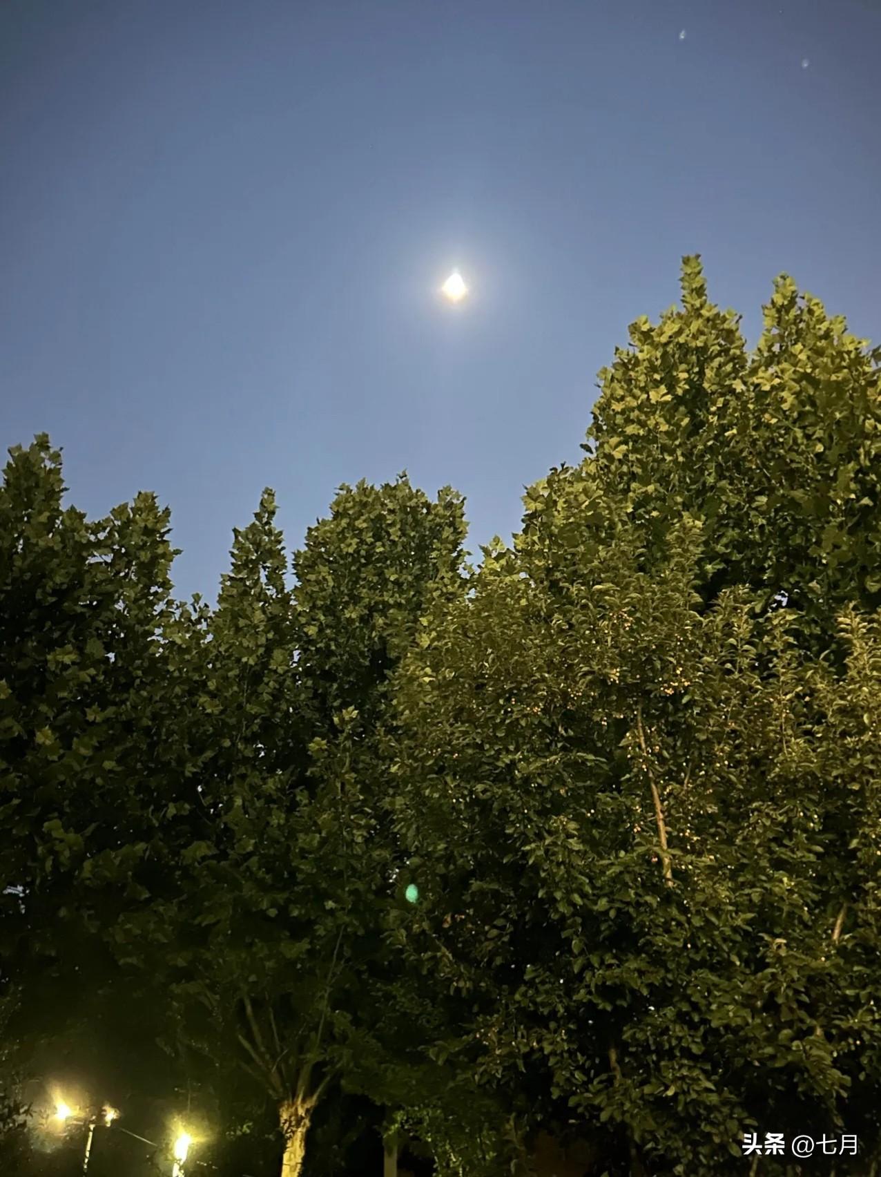 现在是凌晨四点，刚刚喂孙宝吃饱。看着小宝沉沉睡去，脸上还带着甜甜的笑容。

他不