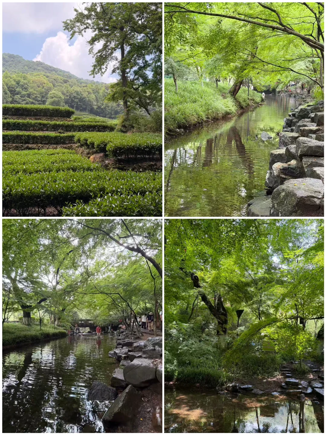 含氧量100%❗️这才是杭州徒步的正确打开方