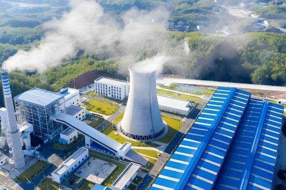 垃圾分类突然不提了？真相反转，实际上中国垃圾已成“摇钱树”

湿垃圾这关一过，很