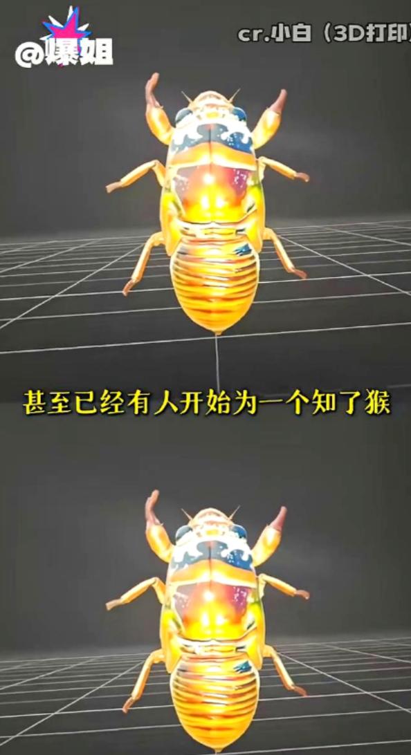 山东抓知了猴的这批人，最近怕是快要崩溃了，他们千算万算，也没料到会撞上科技感十足