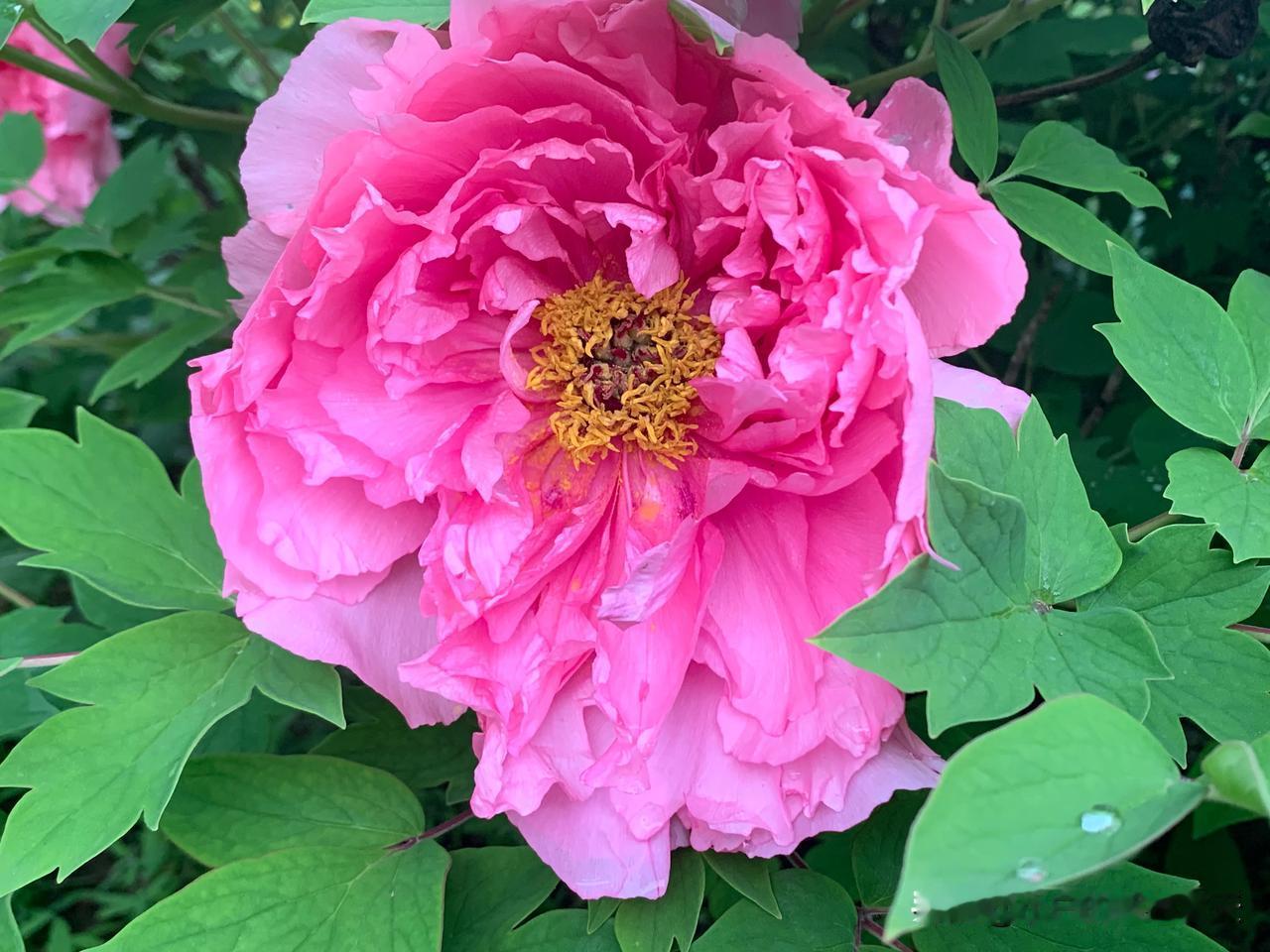 #用一张照片证明春天的到来#