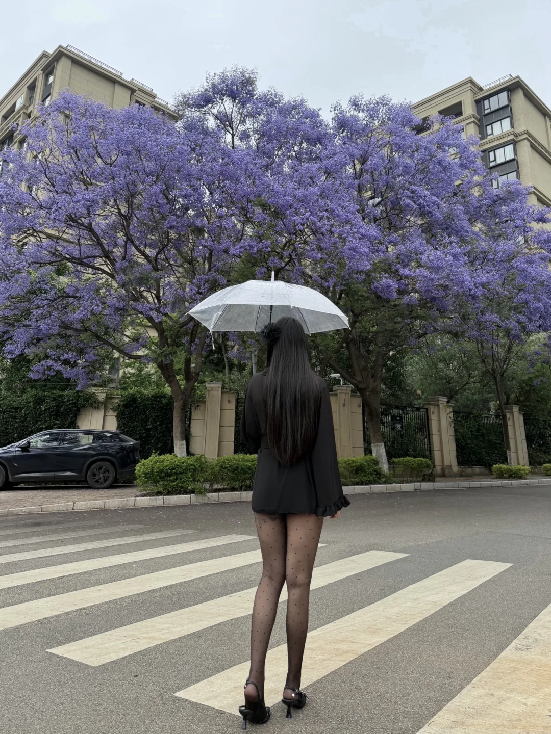 坏天气🌧️