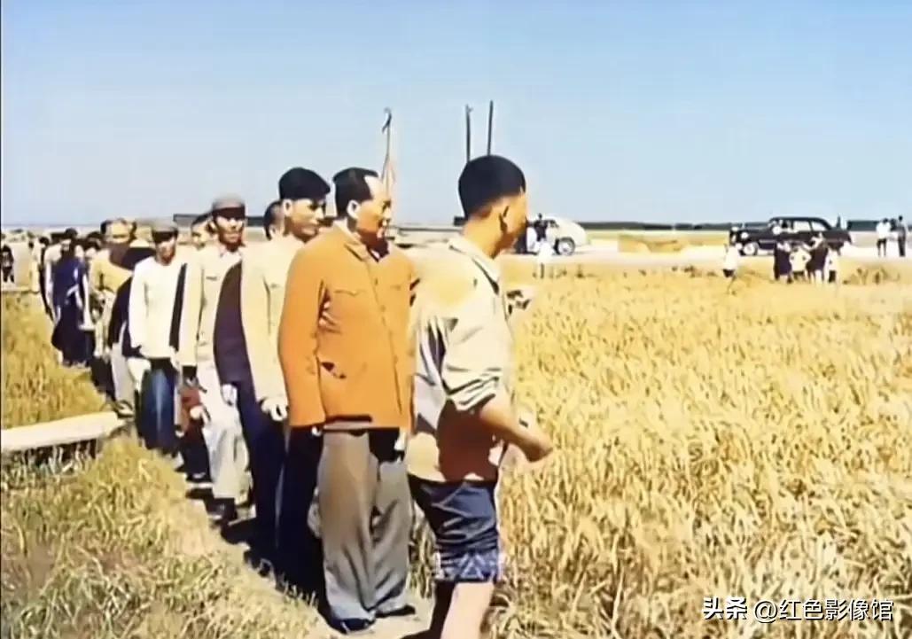 毛主席关心农业生产