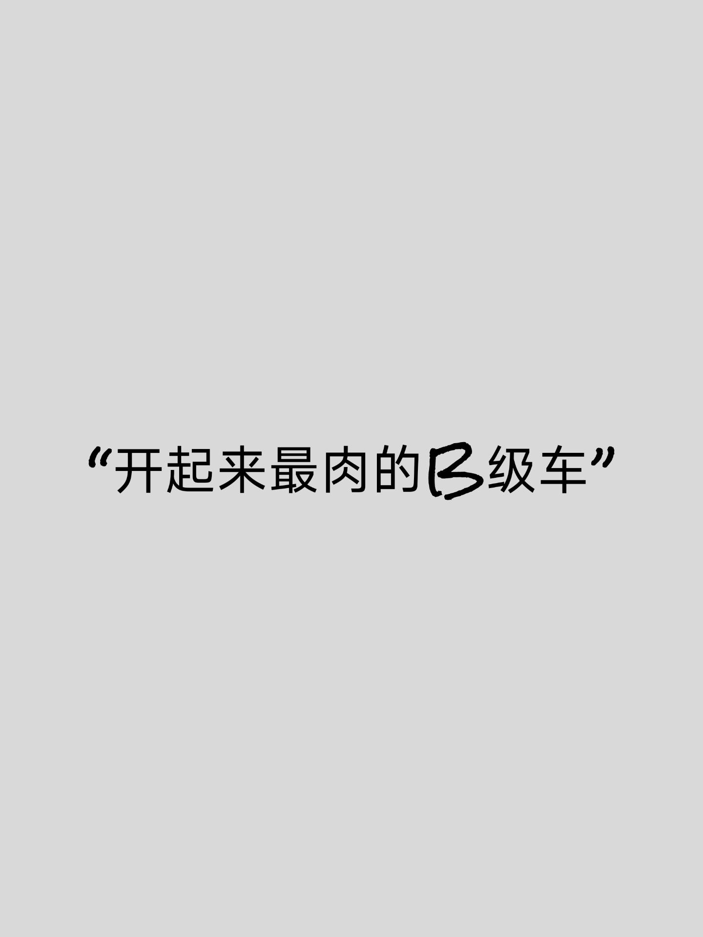 B级车里开起来最肉的几款车有没有你开过的。