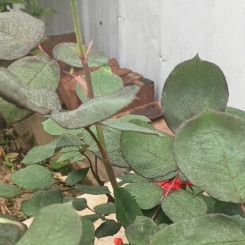 正能量人生路上，步履不停，只有守住自己的心，才能清楚自己真正想要什么、该去往何处