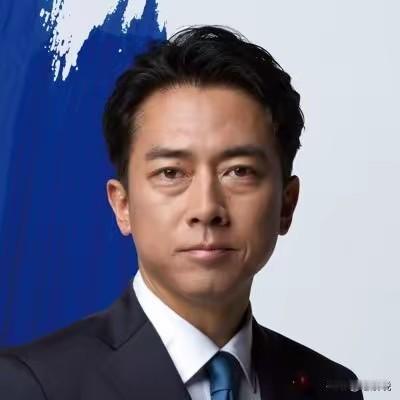 日本防卫大臣小泉进次郎12月12日发文写道：“今天早上我与美国战争部长赫格塞斯进