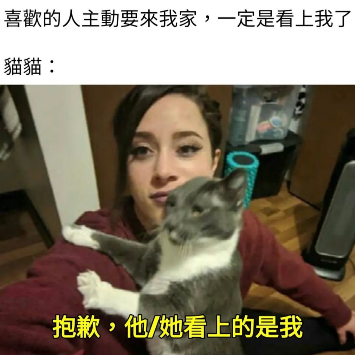 还不是我会后空翻#meme# ​​​