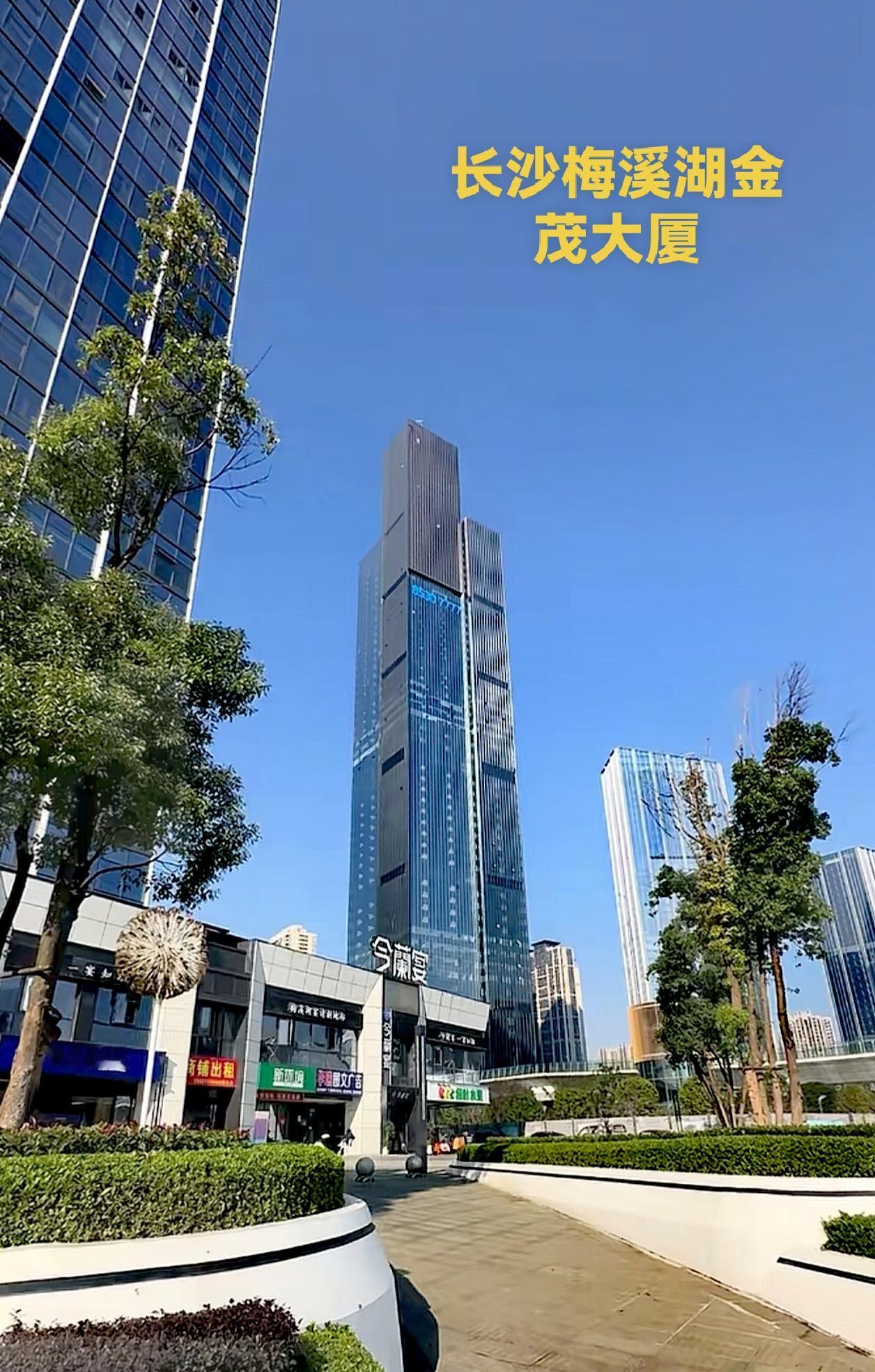 看看长沙的梅溪湖，金茂大厦和晟通大厦这一带，城建环境看起来还是挺高档的哦！可惜像