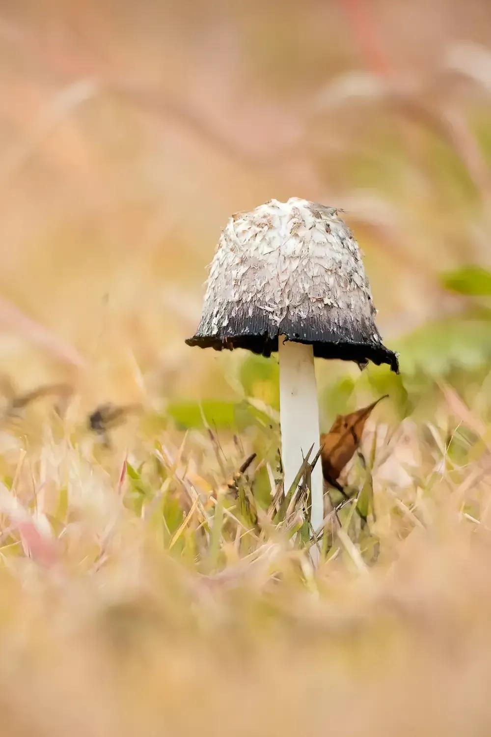 我的宝藏兴趣 
在千千万万个选择里
文11珂芃·原创
在千千万万的选择里
我宁愿