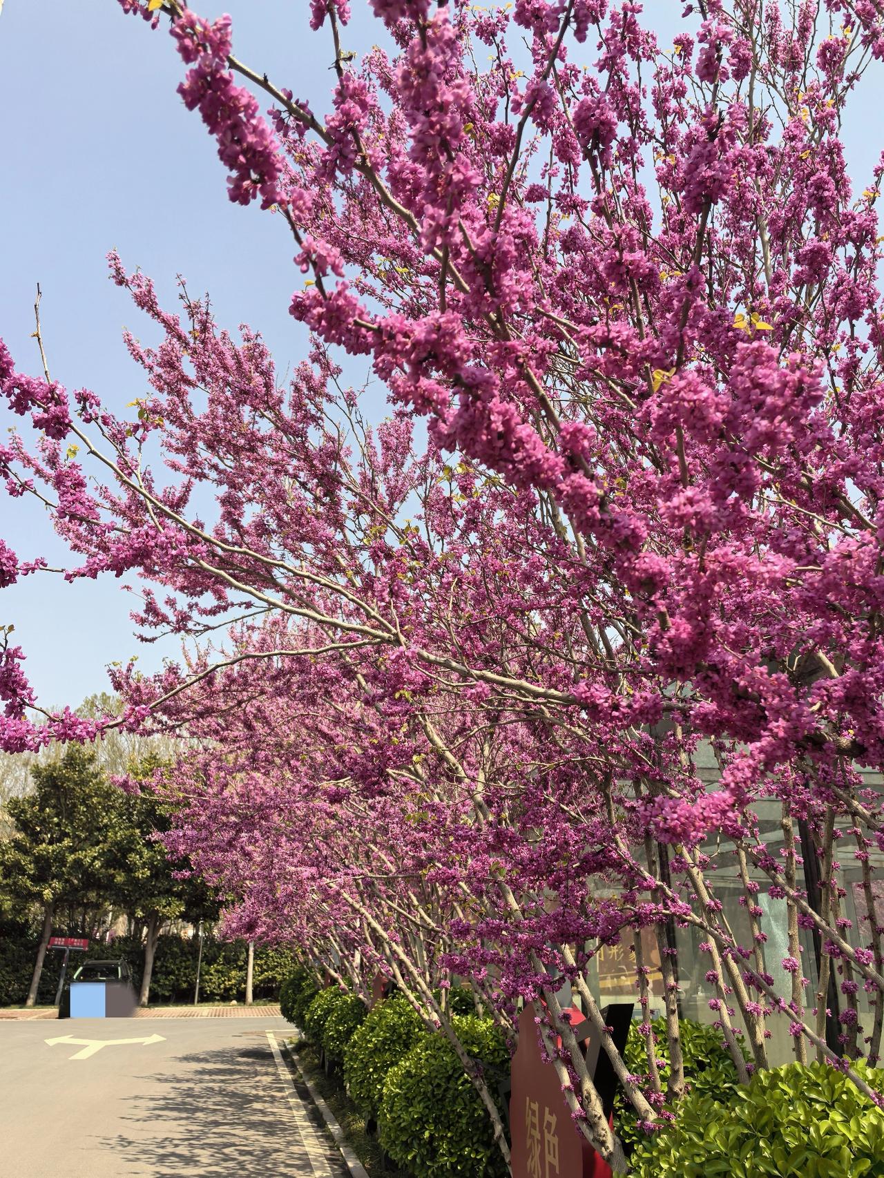 知天命男人的养生之道，还是以守心为上
 
说到知天命男人的养生之道，我们总爱将其