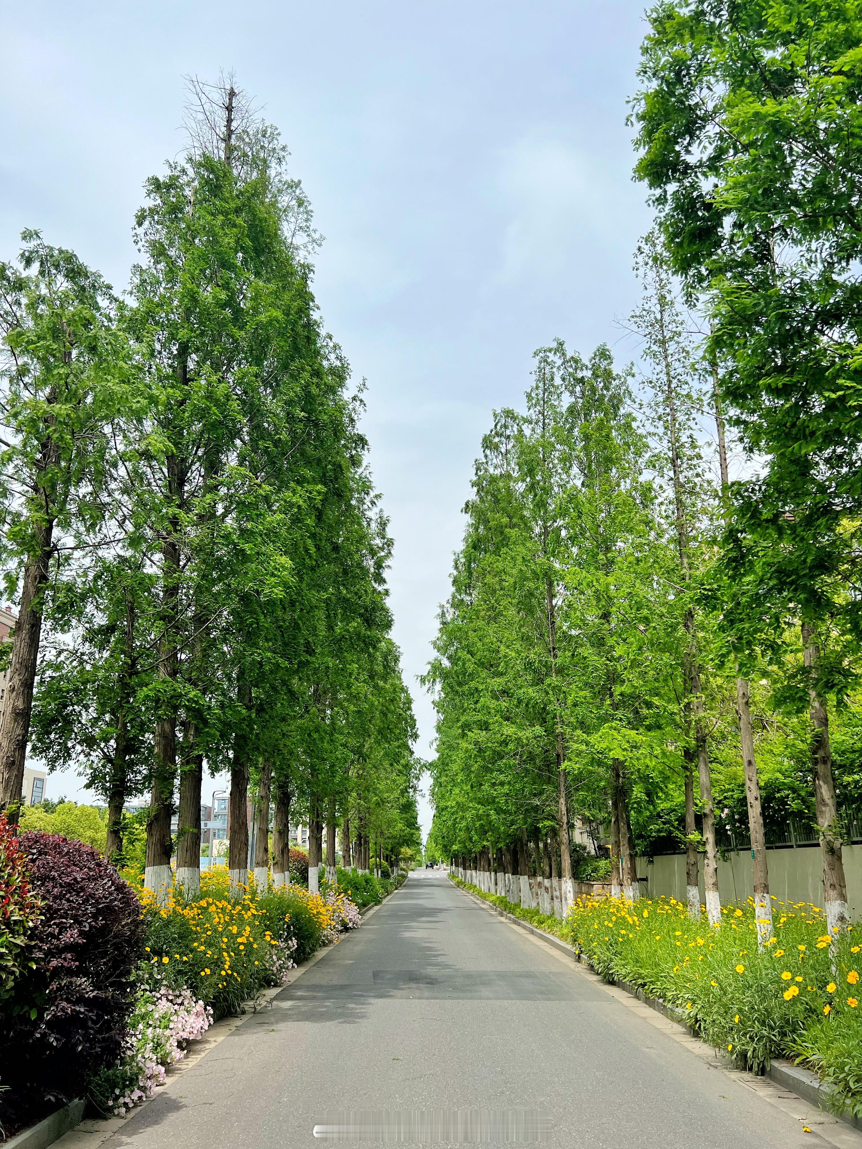 遇见美好  岁月轮转，华章日新回首步步是风景，满眼是温柔远方之邀，山水之约，当然