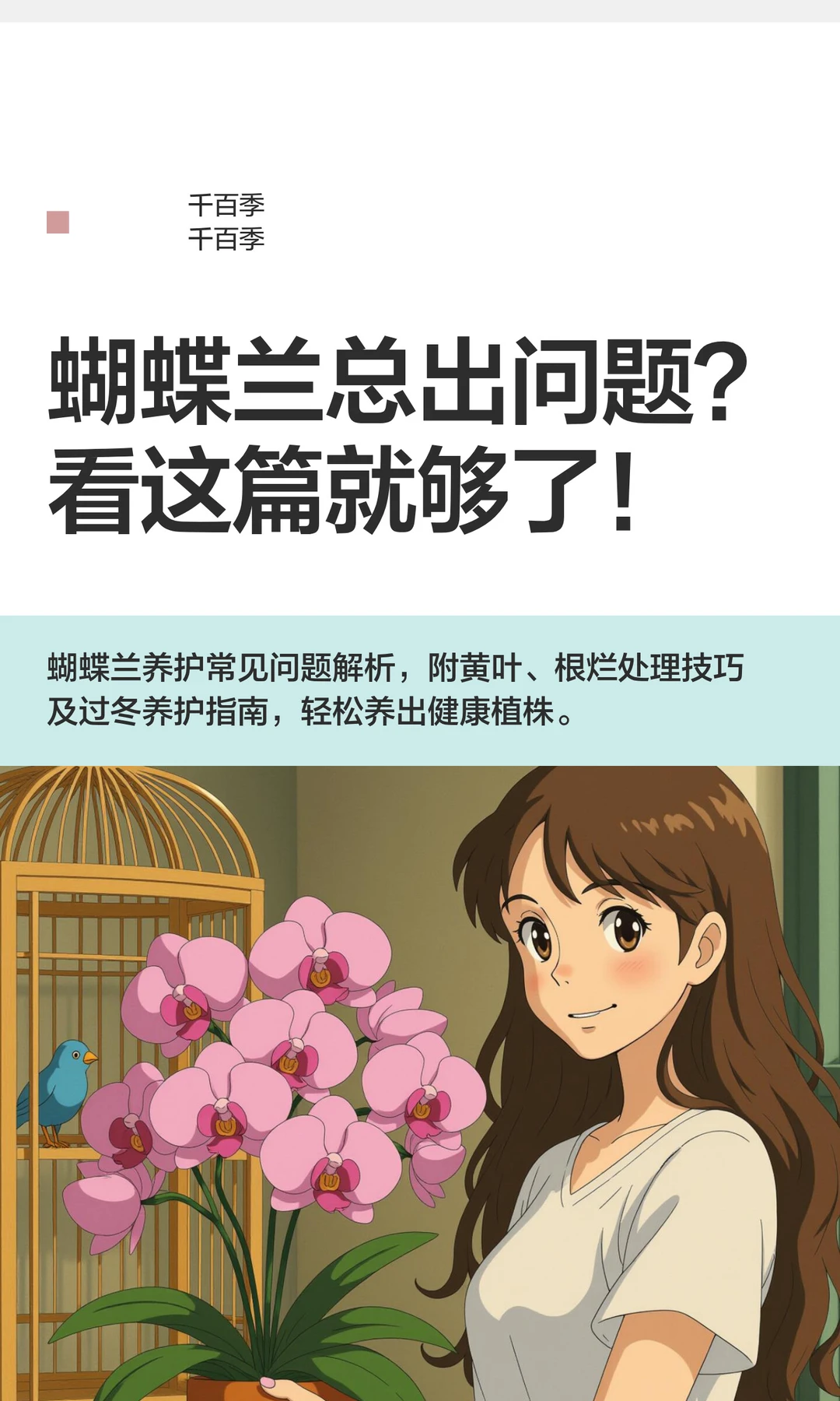 蝴蝶兰总出问题？看这篇就够了！
