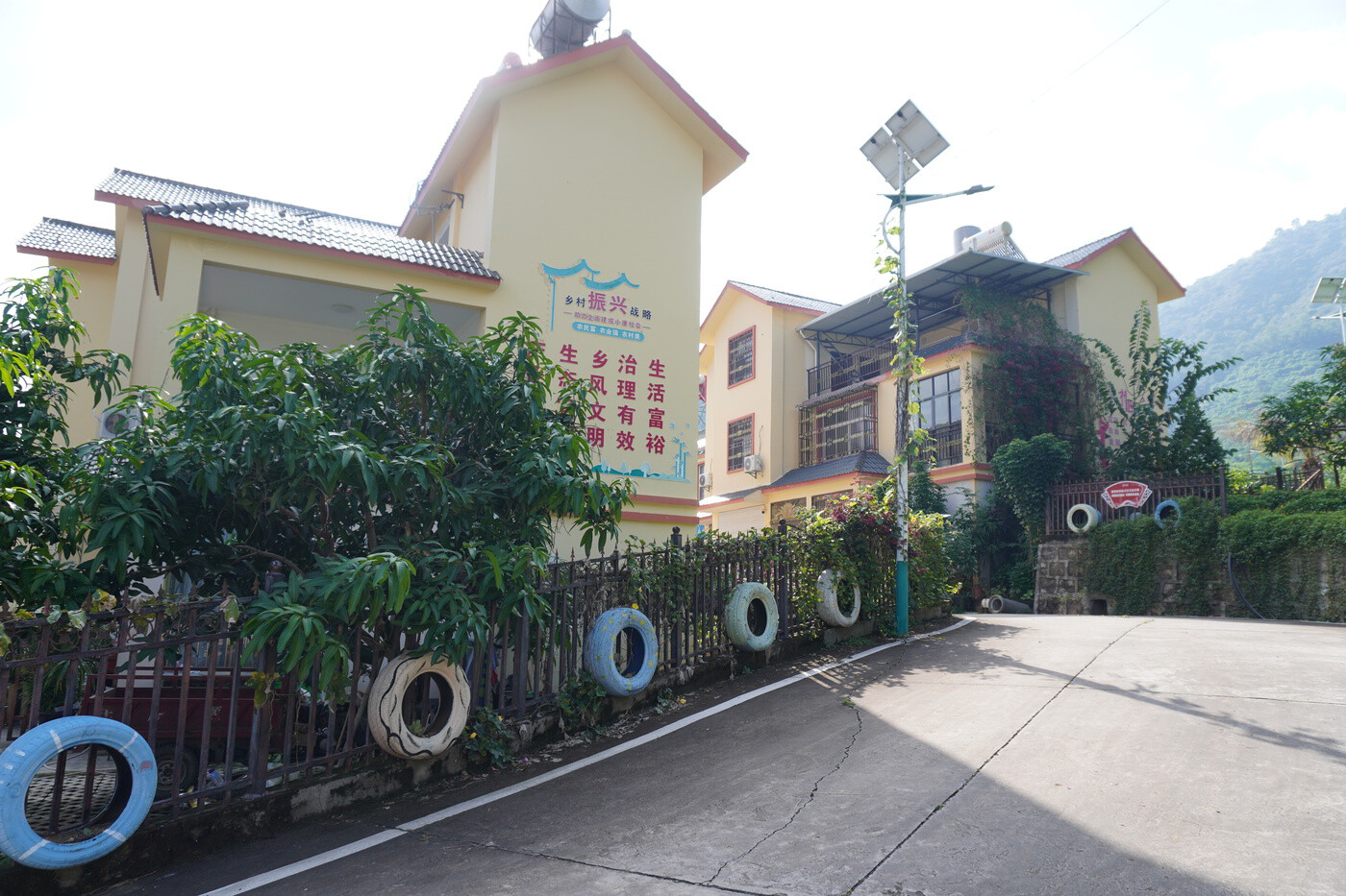 文化玉溪 | 元江红侨社区：同心树结团结果 籽籽情浓助振兴