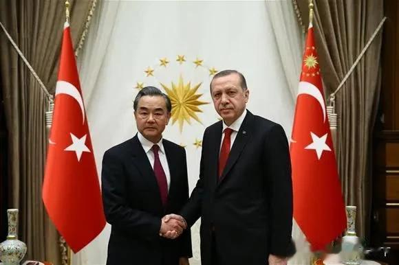 中国外长王毅昨天在土耳其总统府会见了土总统埃尔多安，值得注意的是，会见现场没有悬