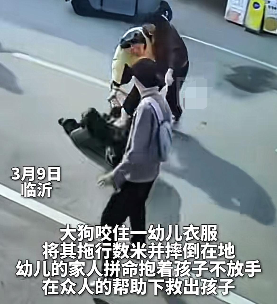 太吓人了！山东临沂，近日街头出现惊悚一幕，一只没拴绳的黑色大狗，先后撕咬拖拽孩子