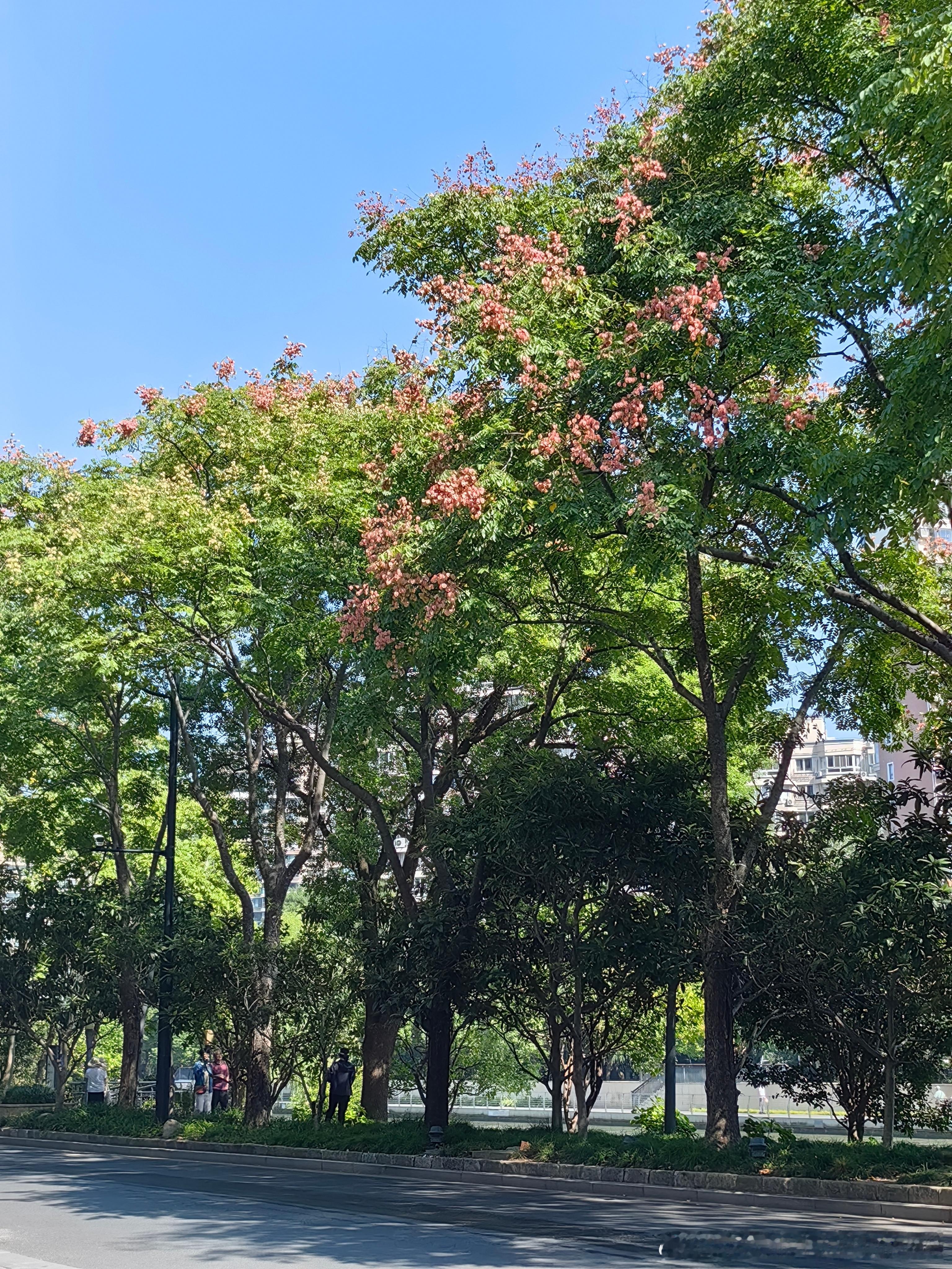 秋高气爽的日子终于到了。 ​​​