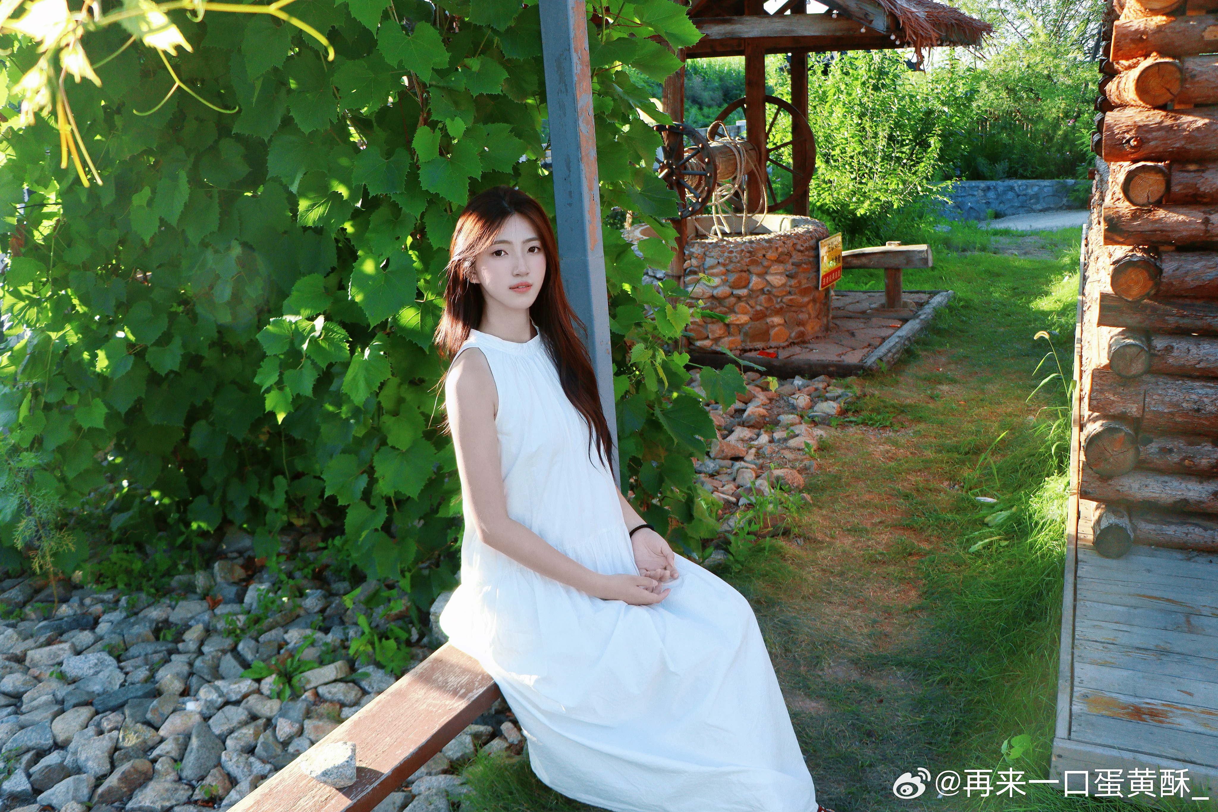 葡萄藤下 