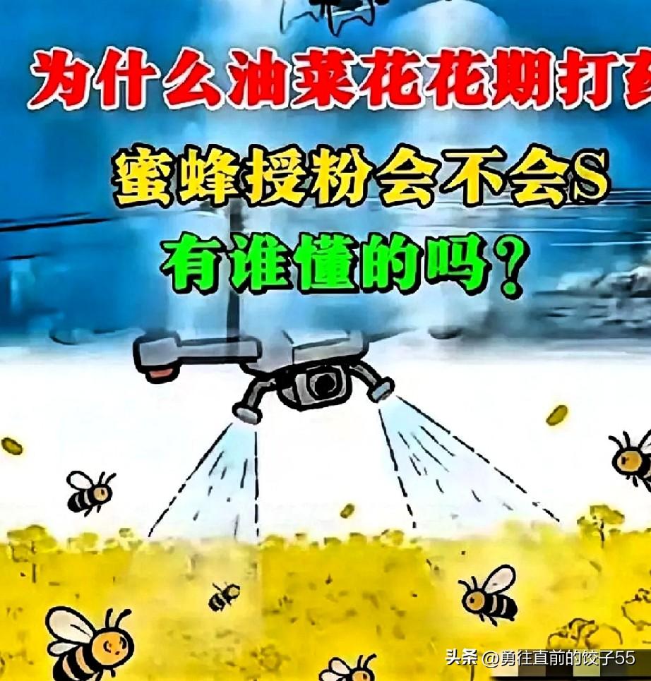 都说春天是一个浪漫的季节，春暖花开，万物复苏。然而在这个春天里，却发生了一起惨无