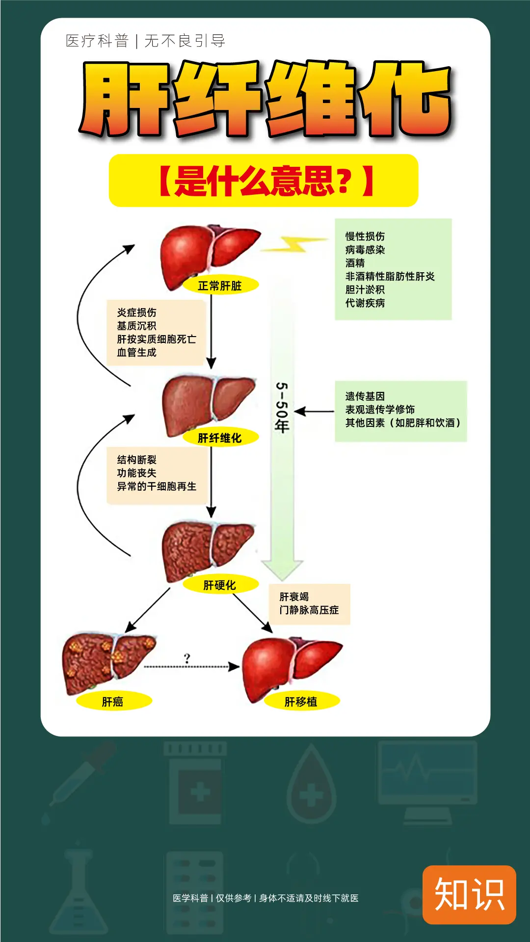 肝纤维化是什么意思，你知道吗？