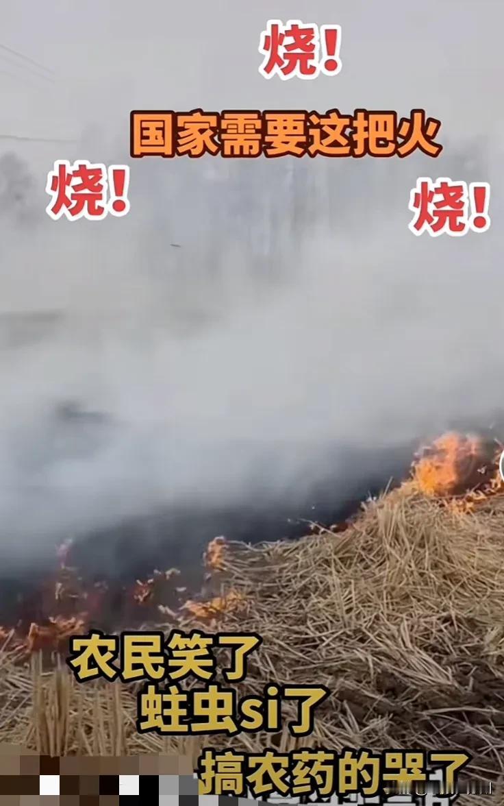 农民笑了，害虫死了，卖农药的哭了[笑哭][笑哭]
高手在民间一点也不假。

几千