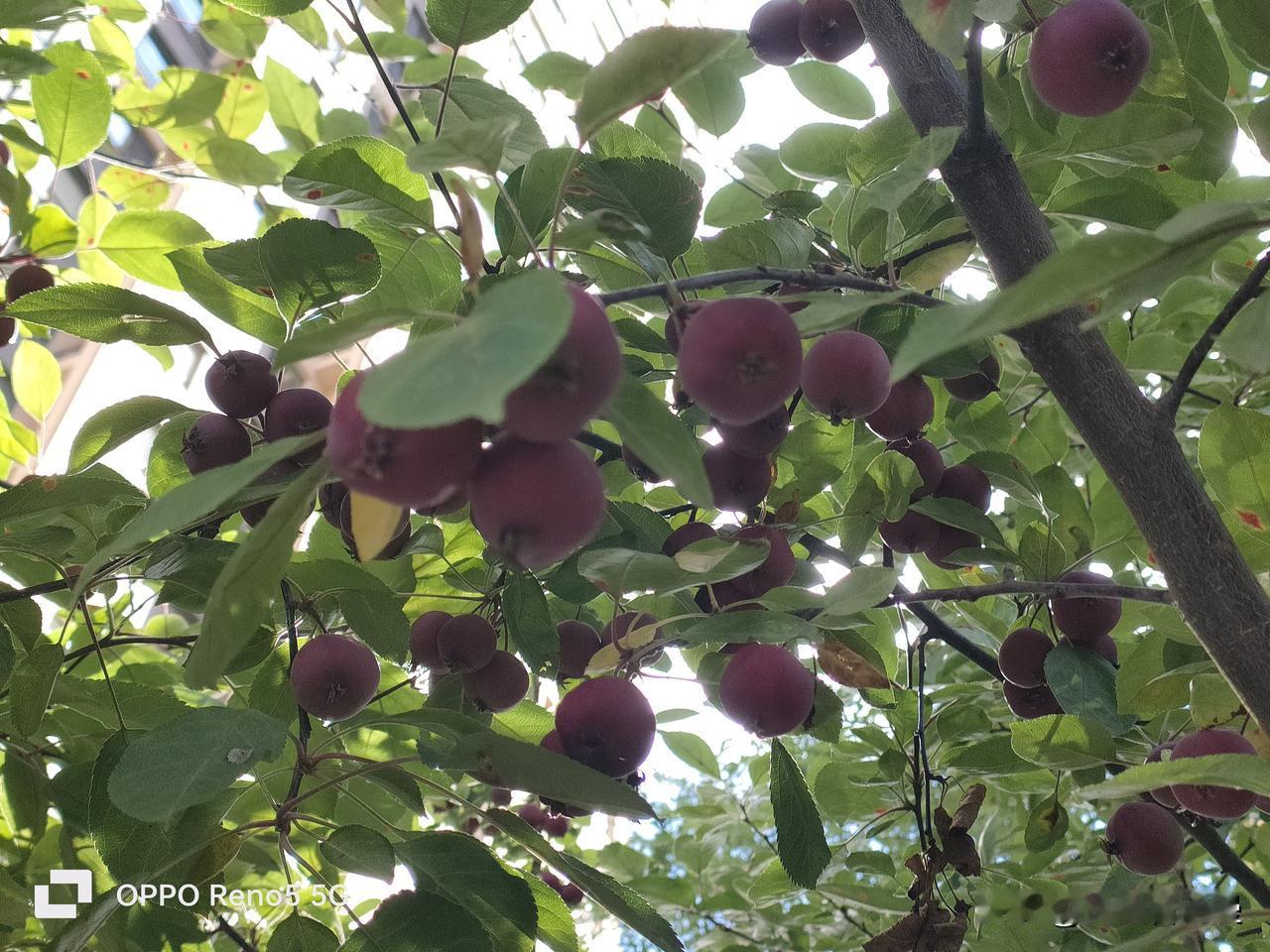 陈光标高调做慈善饱受争议，原因挺多。一方面，他慈善方式太博眼球，像直接给受助者发