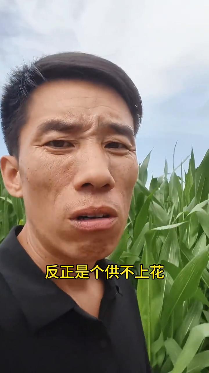 就这个天，两小子的我也不干，热出来个好歹，谁心疼咱。又不是没有干过活，饭我都不想