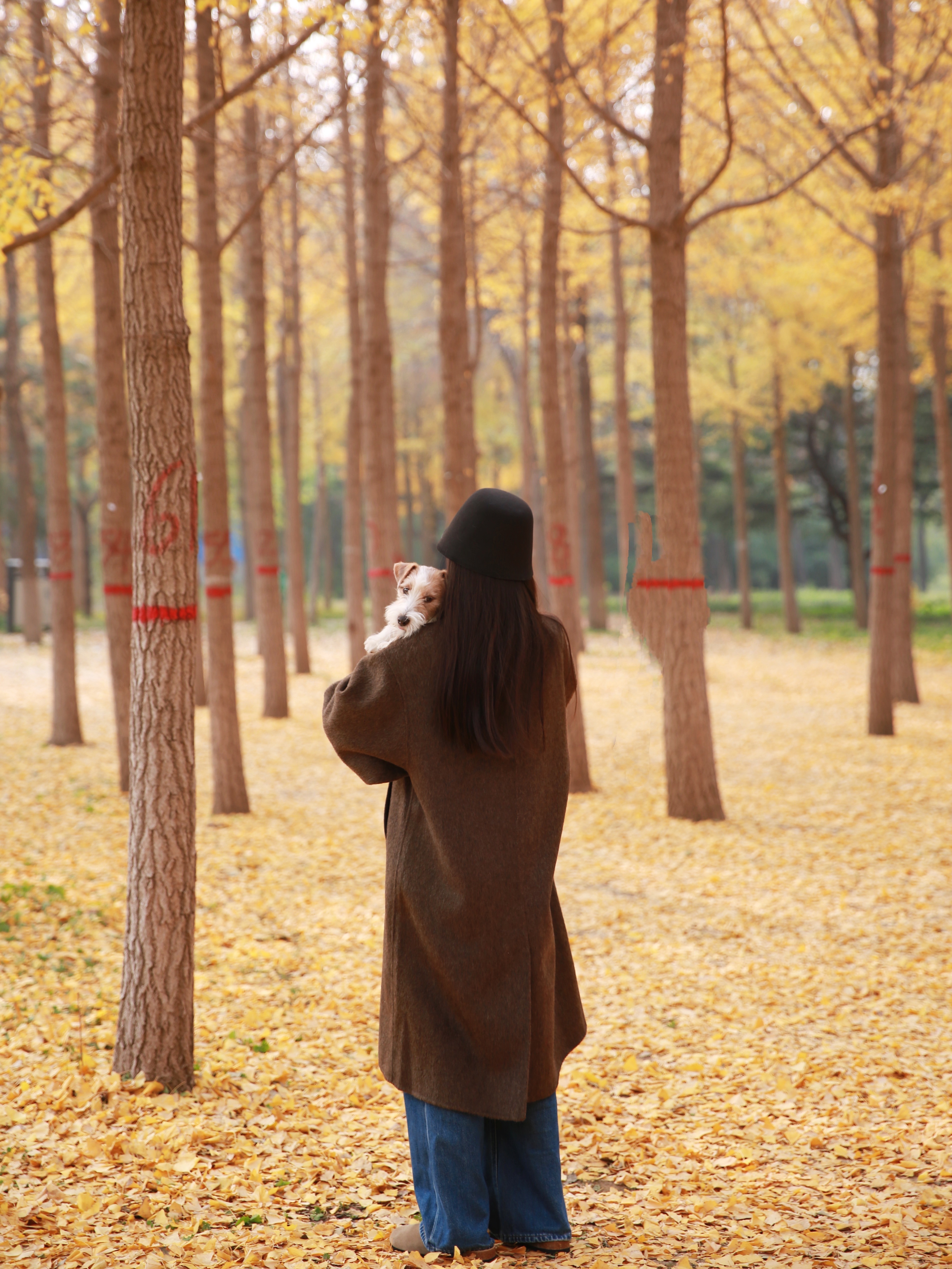 #北京的秋不只有故宫银杏#11月的北京包美的呀～#OOTD[超话]# ​​​