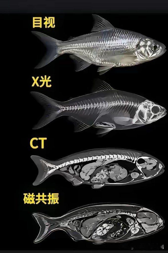 “科学的力量太强大了。”