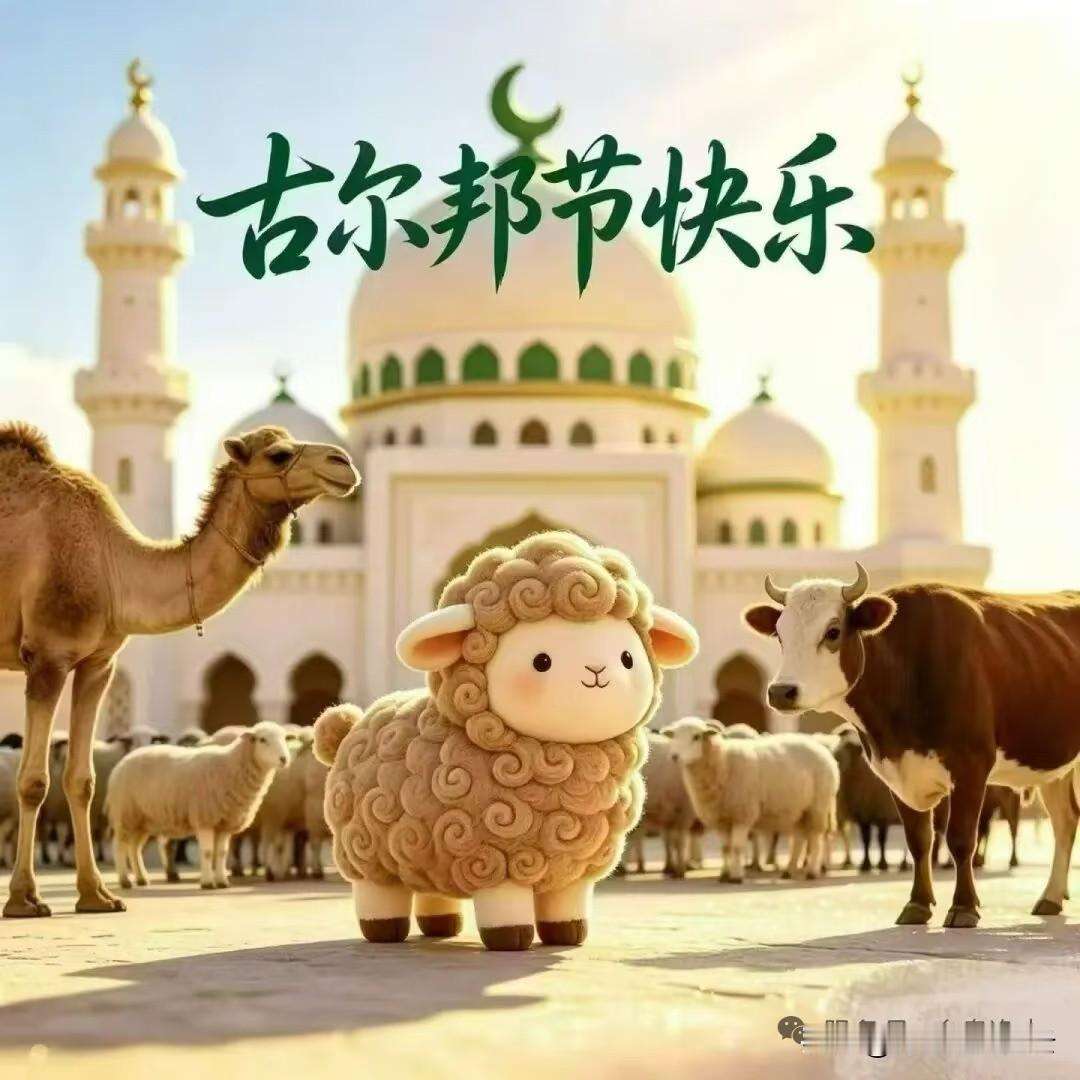 Happy Kurban Festival!古尔邦节快乐！
这个节日的阿拉伯语是