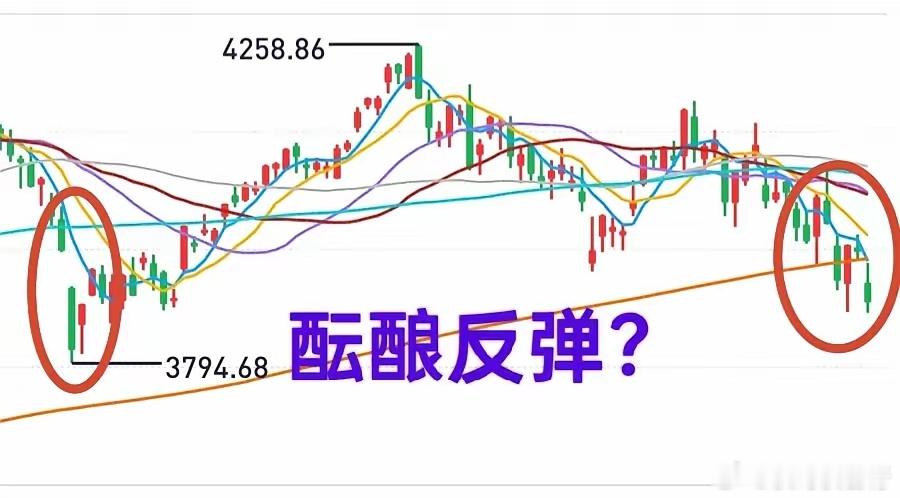 A股：大盘跌破了前低，可能又要出现短线底部了！我猜中了上半场（低开），没有猜中下