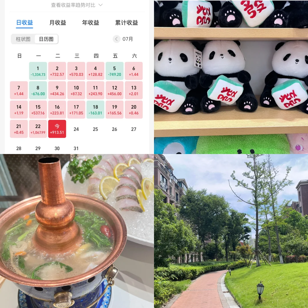 95后ISTJ存钱记：今日收入913，支出95