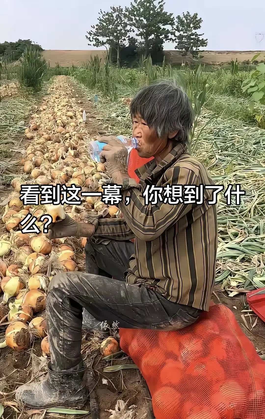 看到这一幕，你想到了什么？看到这一幕，你想到了什么？ 