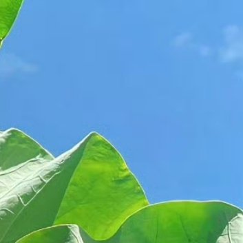 阳光信用[超话][点赞]‎阳光‎信用 [点赞]‎每日一善 心存善念,阳光就会照耀