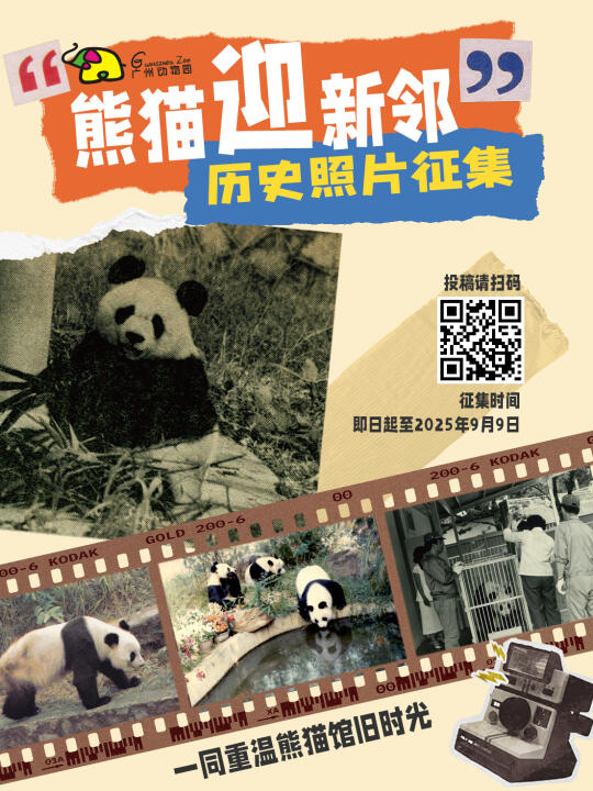 广动熊猫迎新邻！历史照片征集中…