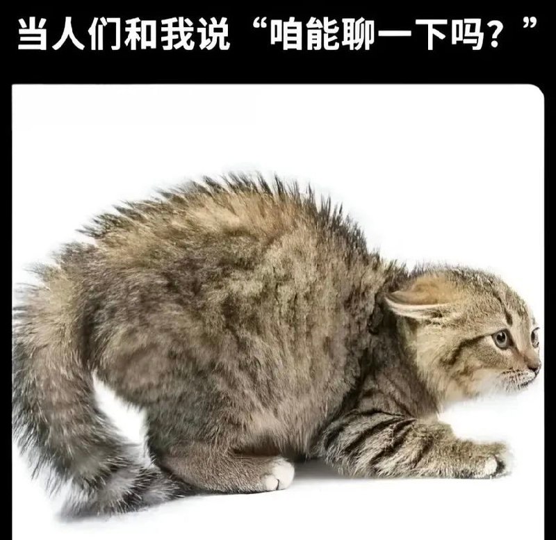 我本人 ​​​